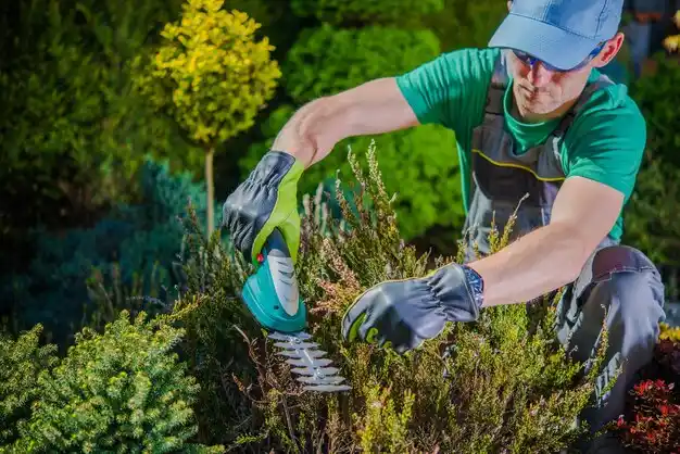 landscaping services Mattydale